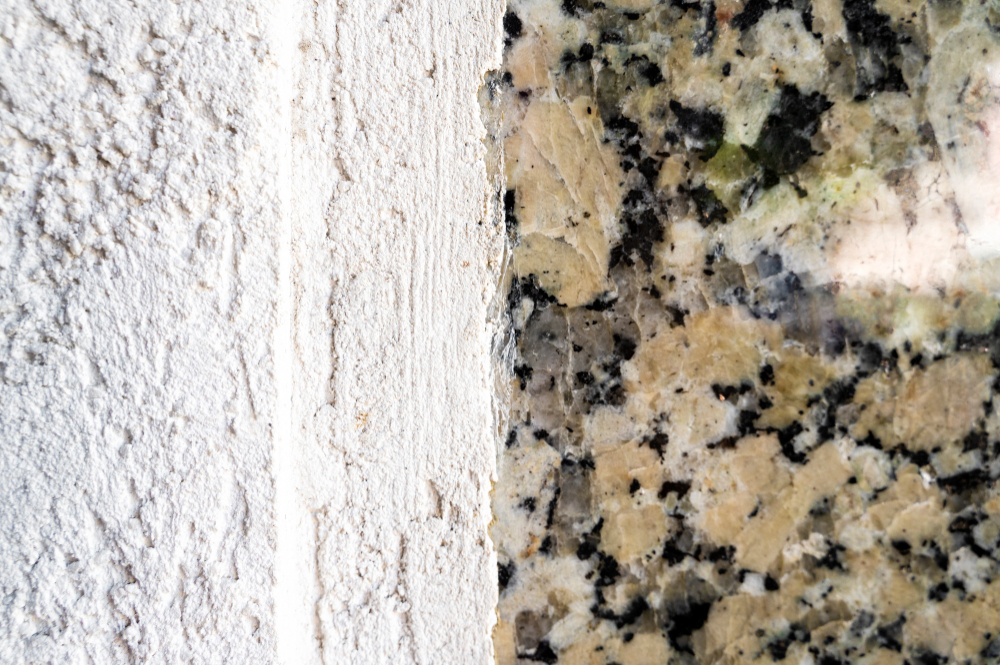Comprehensive Mold Mitigation