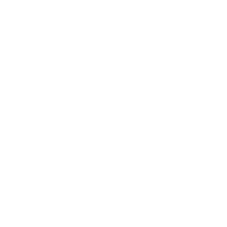 Efficient Project Timelines
