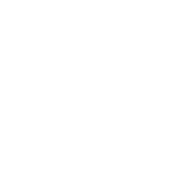 In-House Professionals