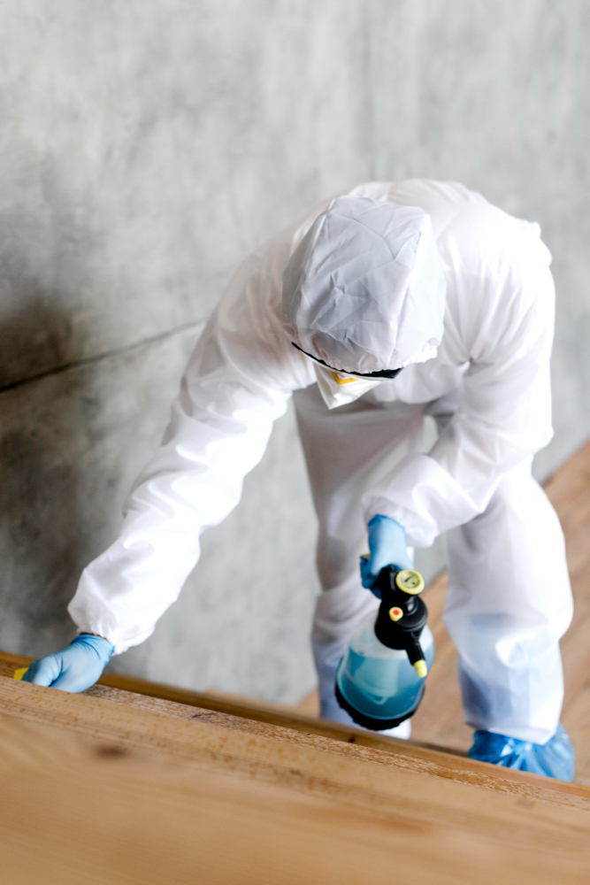 Mold Detection