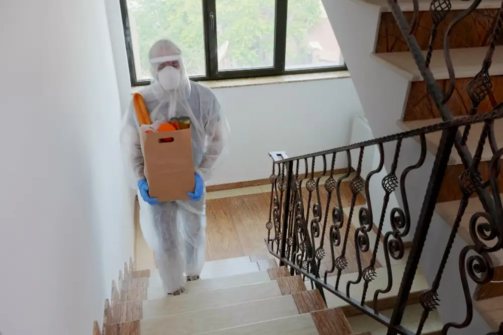 Mold Inspection