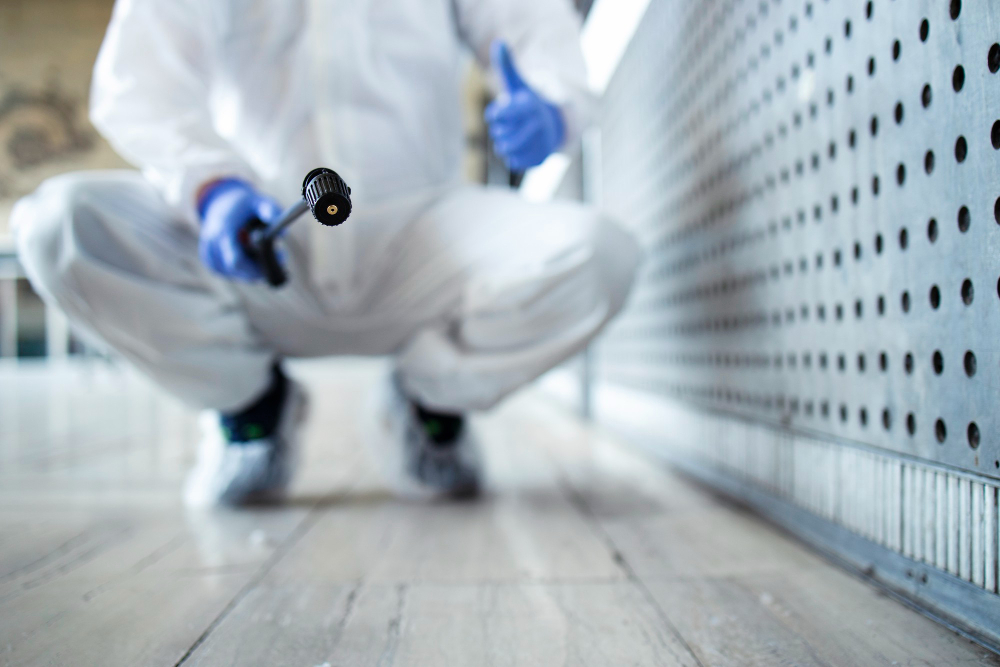 Mold Remediation Chicago services