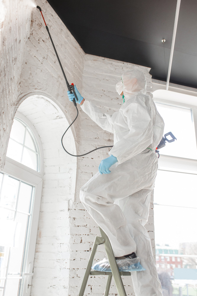 Trust Our Remediation Team