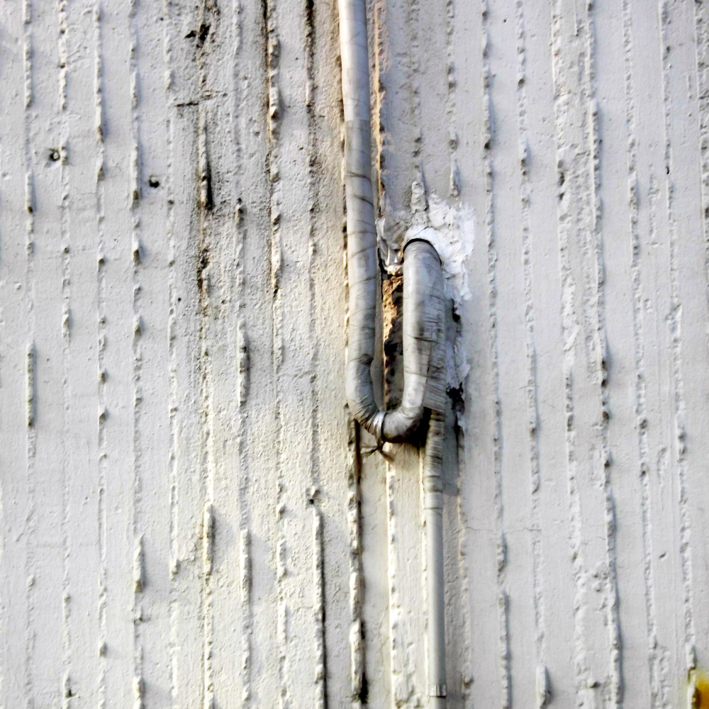 Mold Inspection New Lenox IL